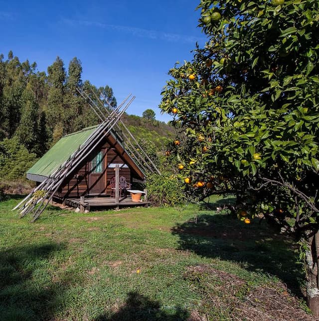 Conscious Earth Healing Retreats