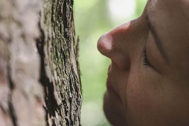 8 Day Women Retreat in South Tyrol, Italy