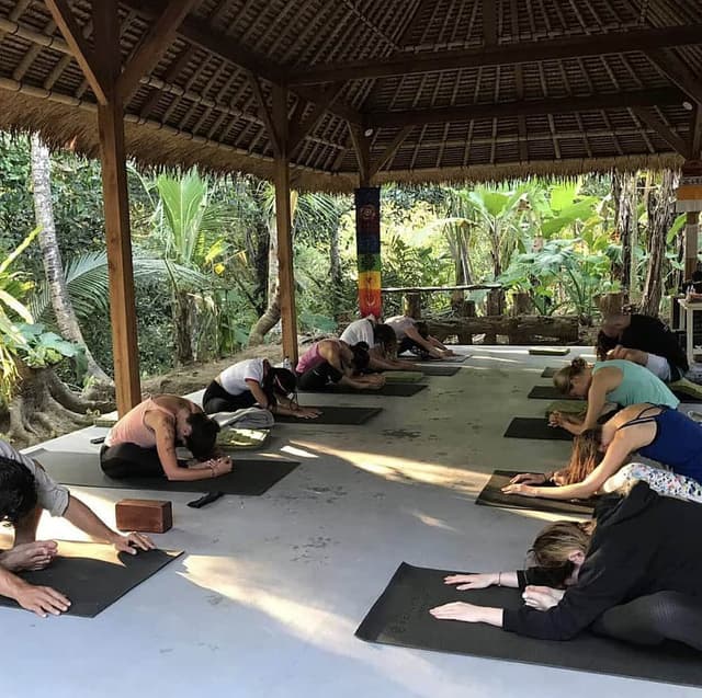 7 Day Unforgettable Solo Yoga Retreat in Ubud, Bali