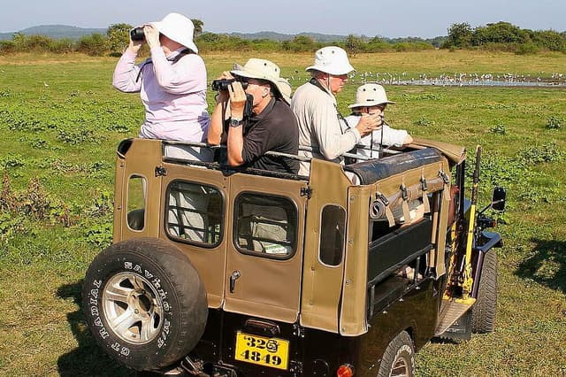 4 Day Serengeti Hot Air Balloon Safari in Tanzania, Africa