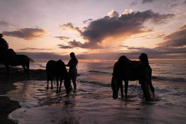 6 Day Journey of Love with Horses in Costa Rica
