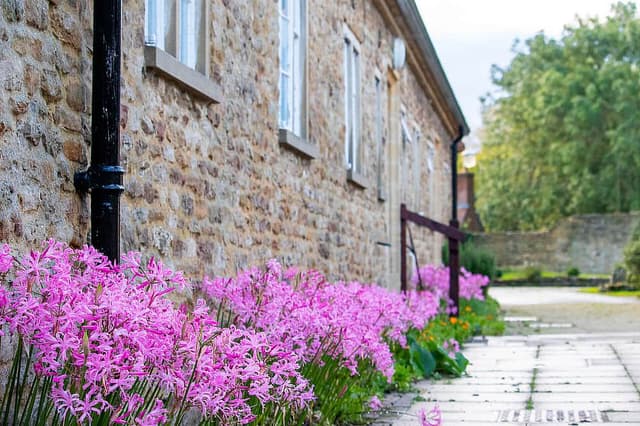 3 Day Weekend Meditation & Yoga Retreat in Oxfordshire, UK