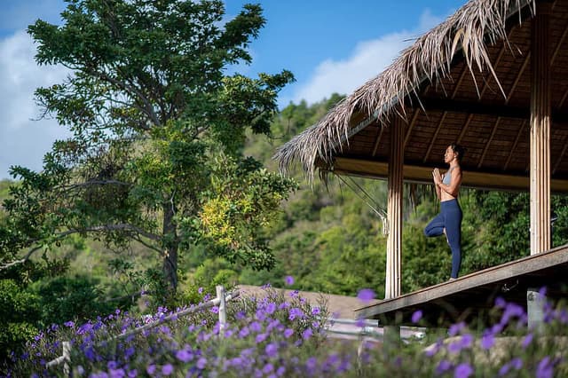 8 Day Yoga and Wellness Holiday Package on Ko Samui, Thailand