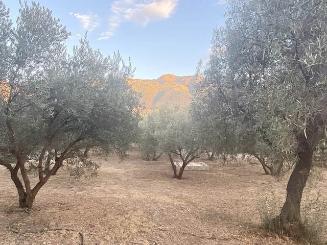 3 Day Wellness Getaway in Southern Spain