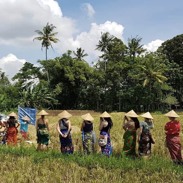 7 Day Unforgettable Solo Yoga Retreat in Ubud, Bali