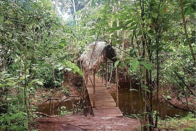 7 Day Yoga, Meditation & Shamanic Retreat in Iquitos, Peru