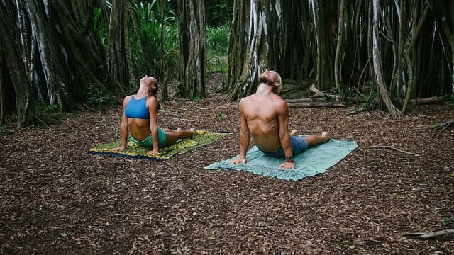 7 Day Individualized Yoga and Ayurveda Retreat Puerto Rico