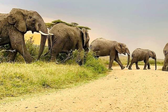 4 Day Serengeti Hot Air Balloon Safari in Tanzania, Africa