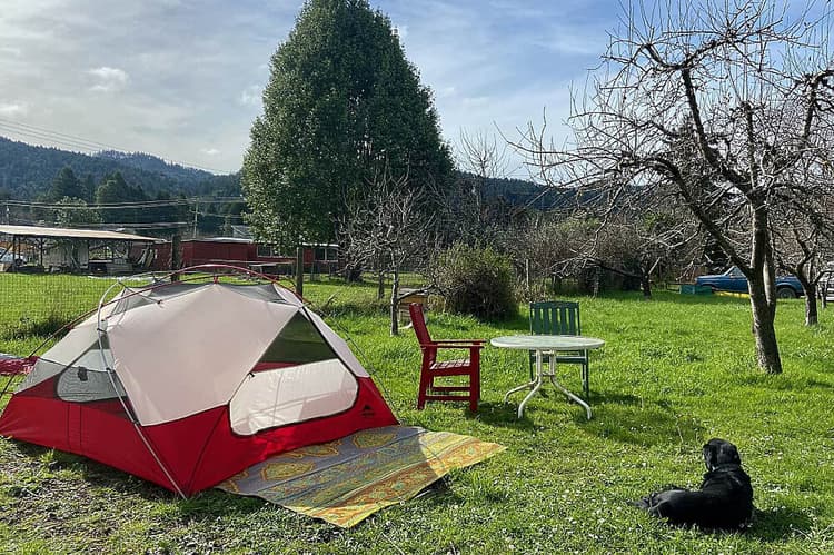 Tent Space or Van Space
