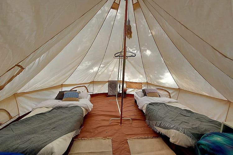 Shared Twin Room in Glamping Tent