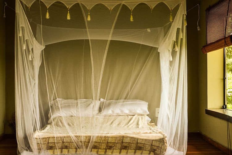 Lion Room (up to 5 people)