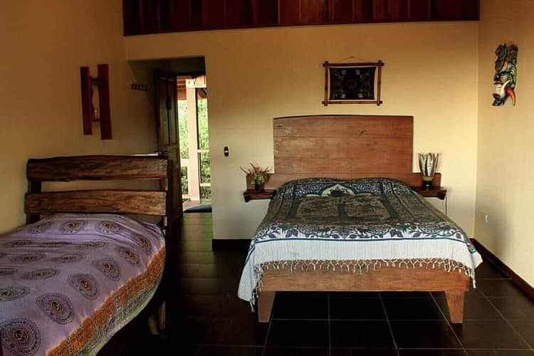 Shared Room Single Bed