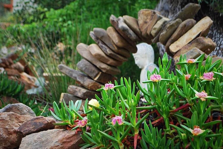 Conscious Earth Healing Retreats