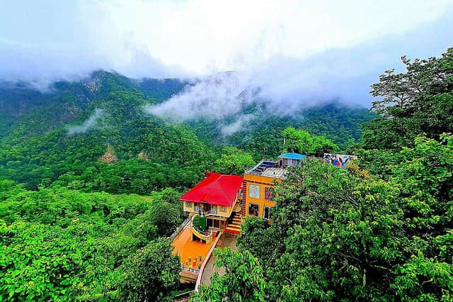 8 Day Blissful Ayurvedic Detox and Yoga Retreat in Rishikesh
