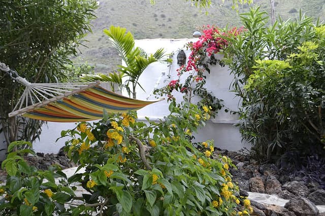 7 Day Private Tantra Massage & Yoga Retreat in Tenerife, Spain