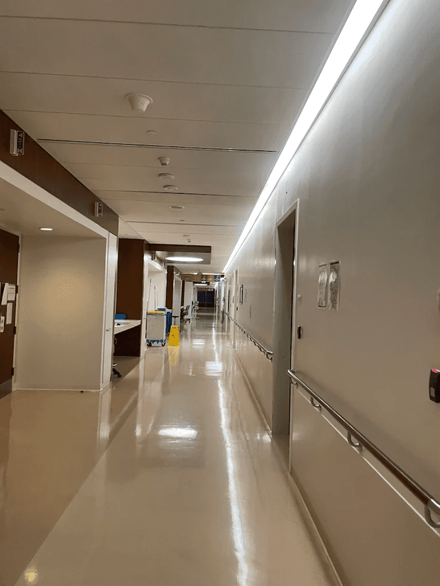 King Abdullah bin Abdulaziz University Hospital (KAAUH)