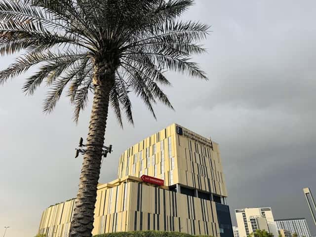 King's College Hospital London - Dubai