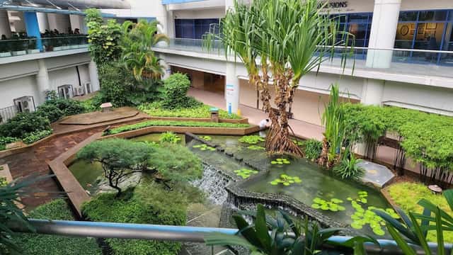 KK Women's and Children's Hospital