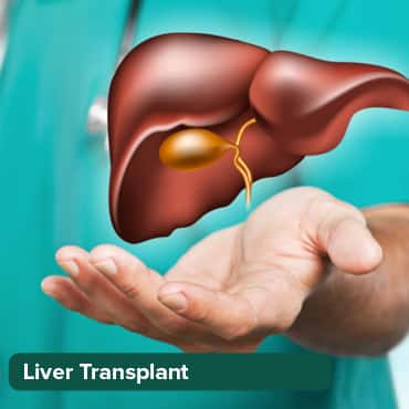 Liver Transplant