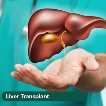 Liver Transplant