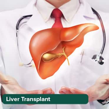 LIVER TRANSPLANT