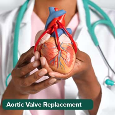 AVR (Tissue Valve)