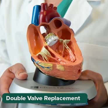 Double Valve Replacement (Mechanical implant)